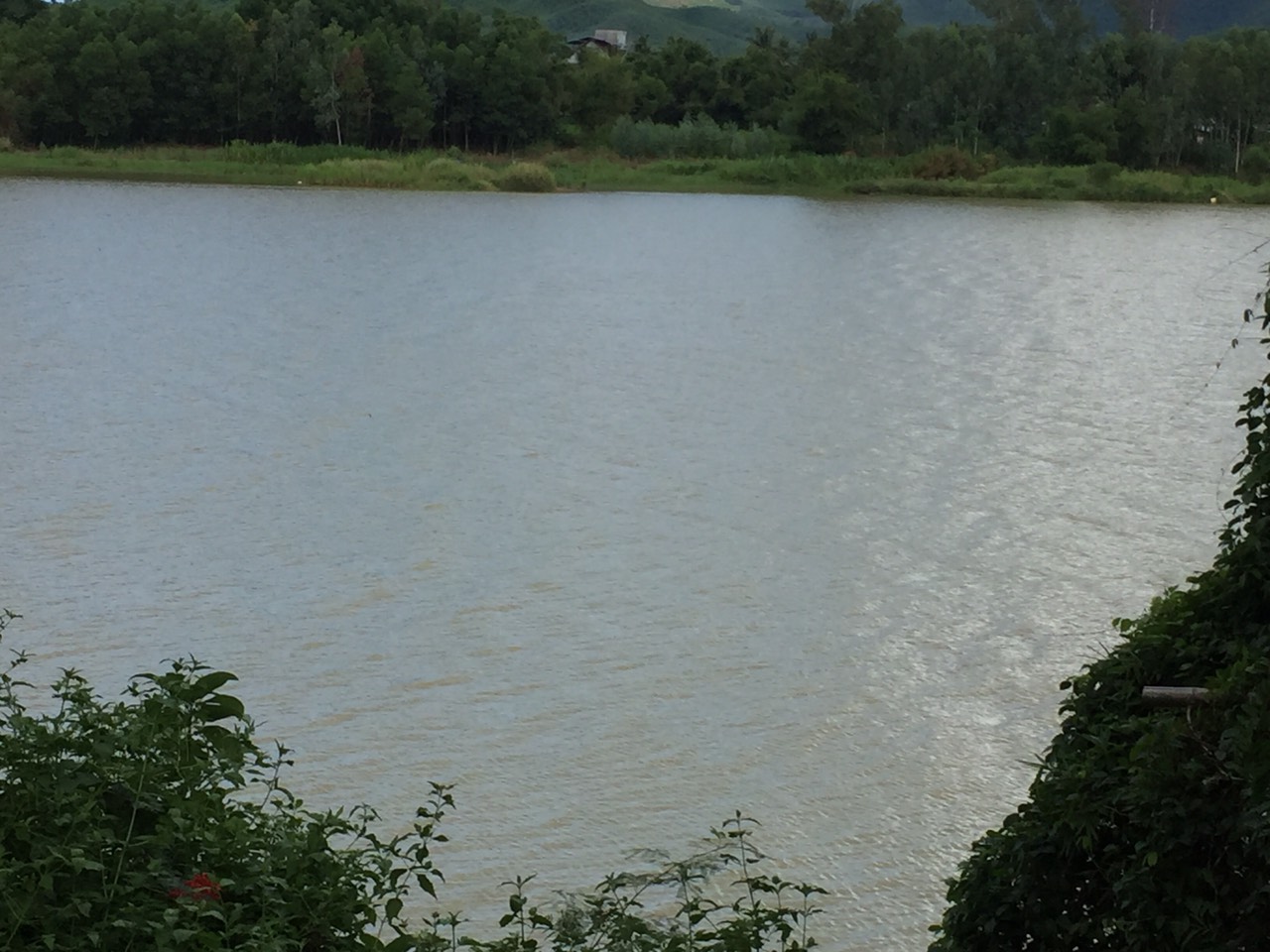 đất nền view sông hoài nhơn